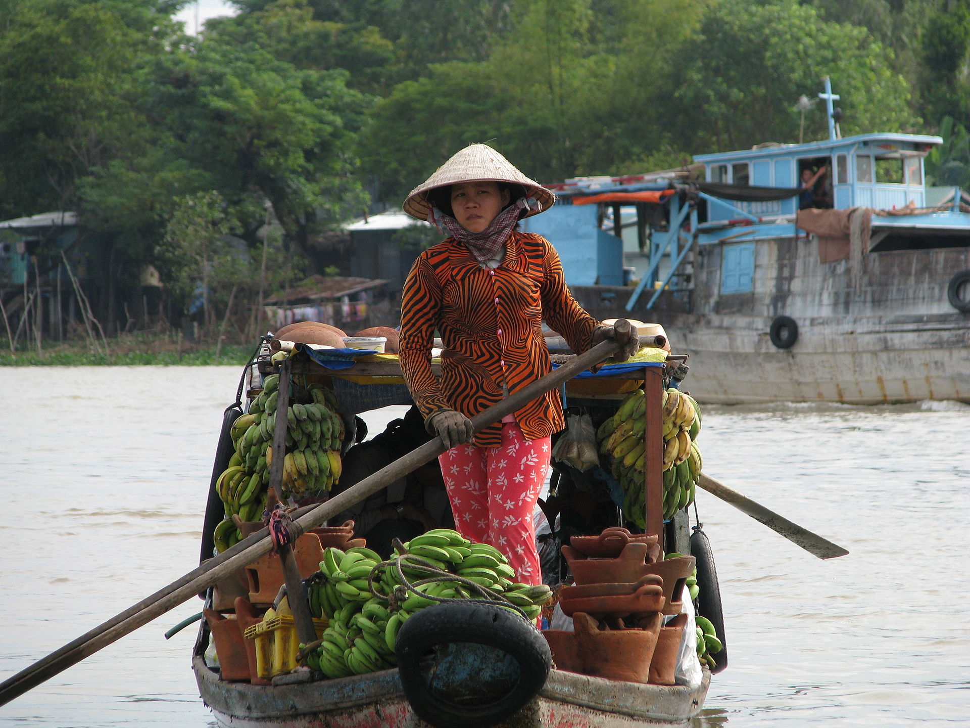 A colourful woman rows her load of bananas towards Chau Doc for sale at the market.